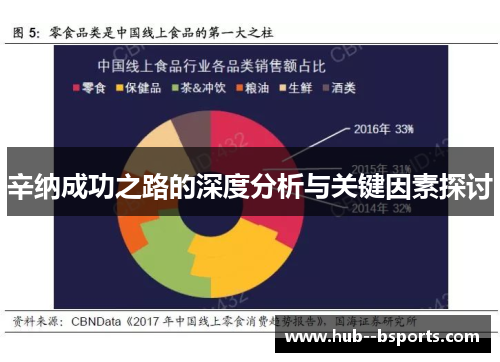 辛纳成功之路的深度分析与关键因素探讨