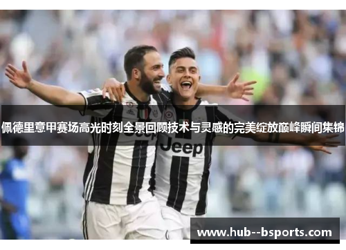 佩德里意甲赛场高光时刻全景回顾技术与灵感的完美绽放巅峰瞬间集锦
