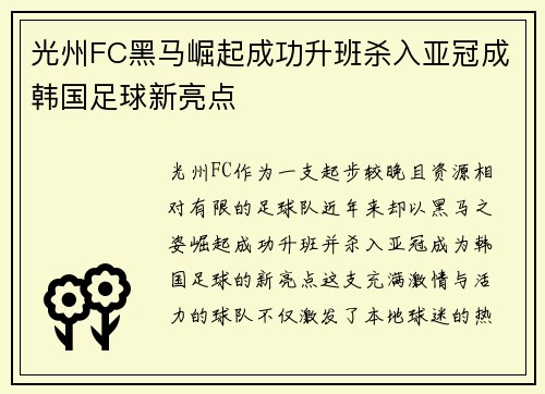 光州FC黑马崛起成功升班杀入亚冠成韩国足球新亮点