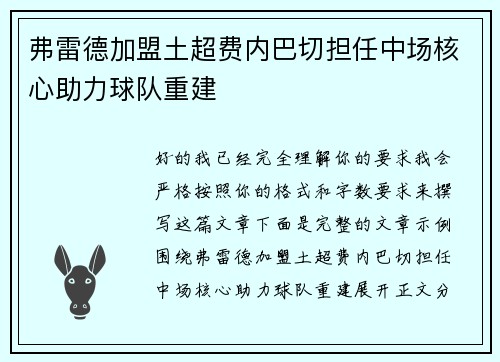 弗雷德加盟土超费内巴切担任中场核心助力球队重建